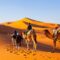 What Are the Key Benefits of Small-Group Tours in Morocco?