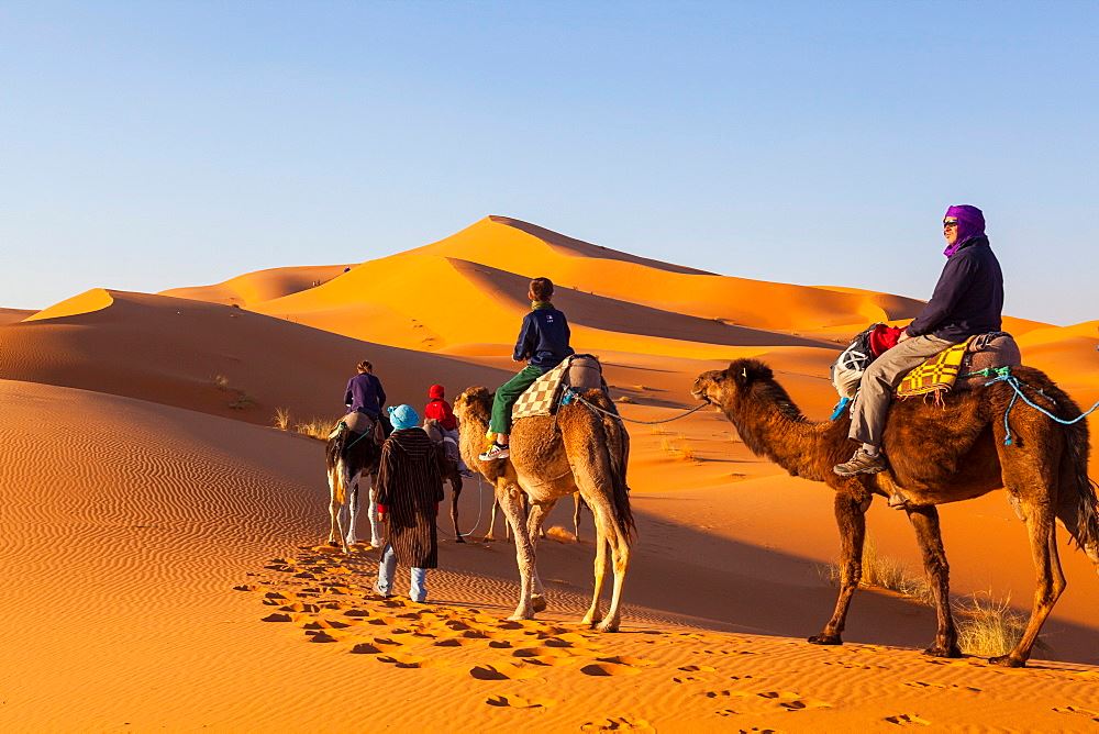 Small-Group Tours in Morocco