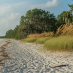 Beaches in Georgia