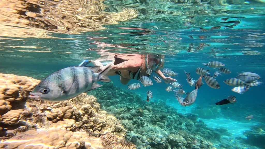 Best Snorkeling Trips in Hurghada