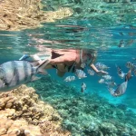 Best Snorkeling Trips in Hurghada