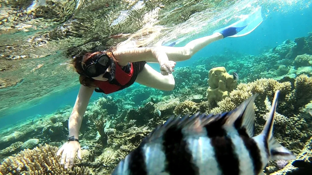 Marine Life